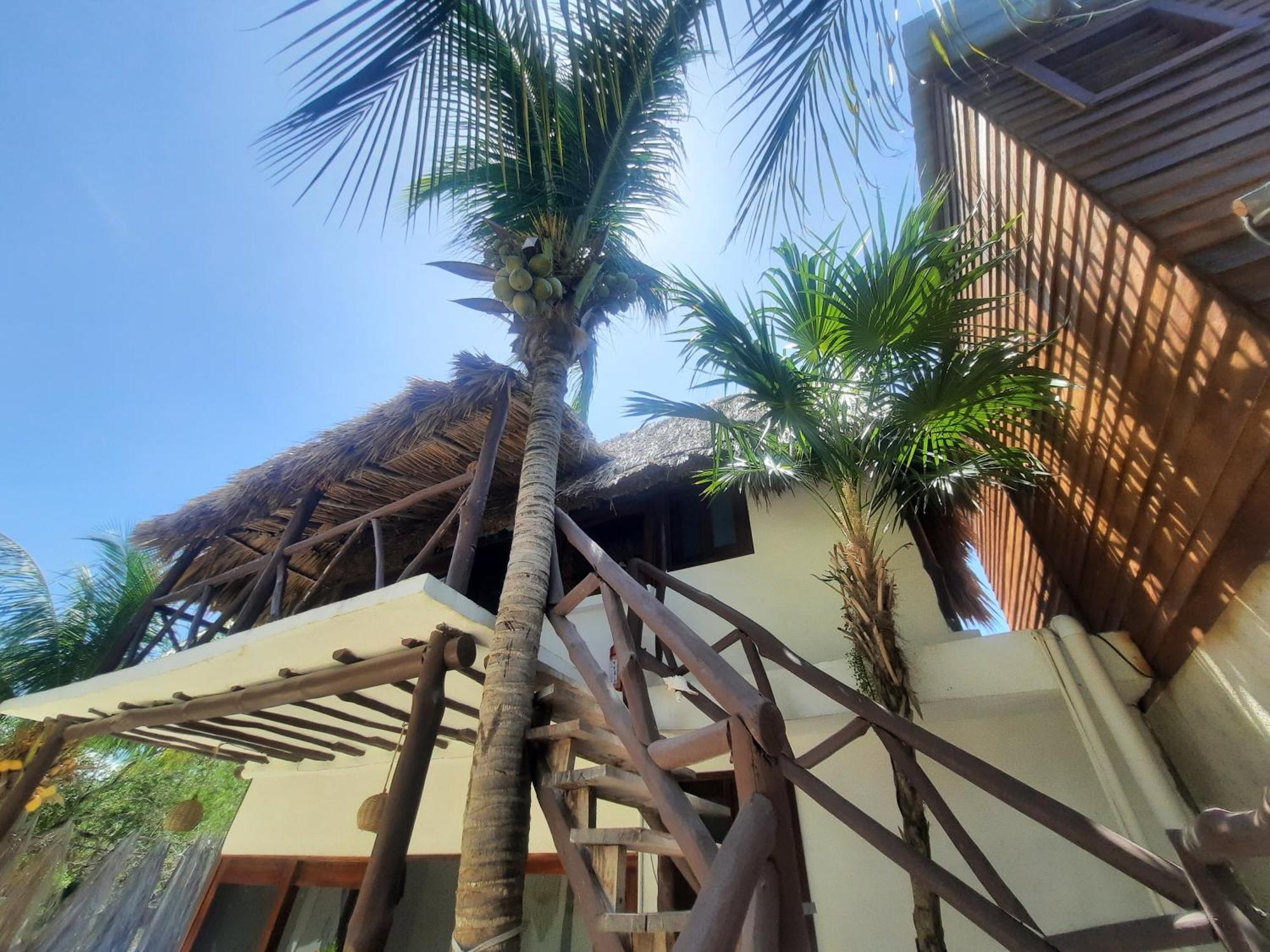 Aparthotel Casa Sofia Holbox Exteriér fotografie