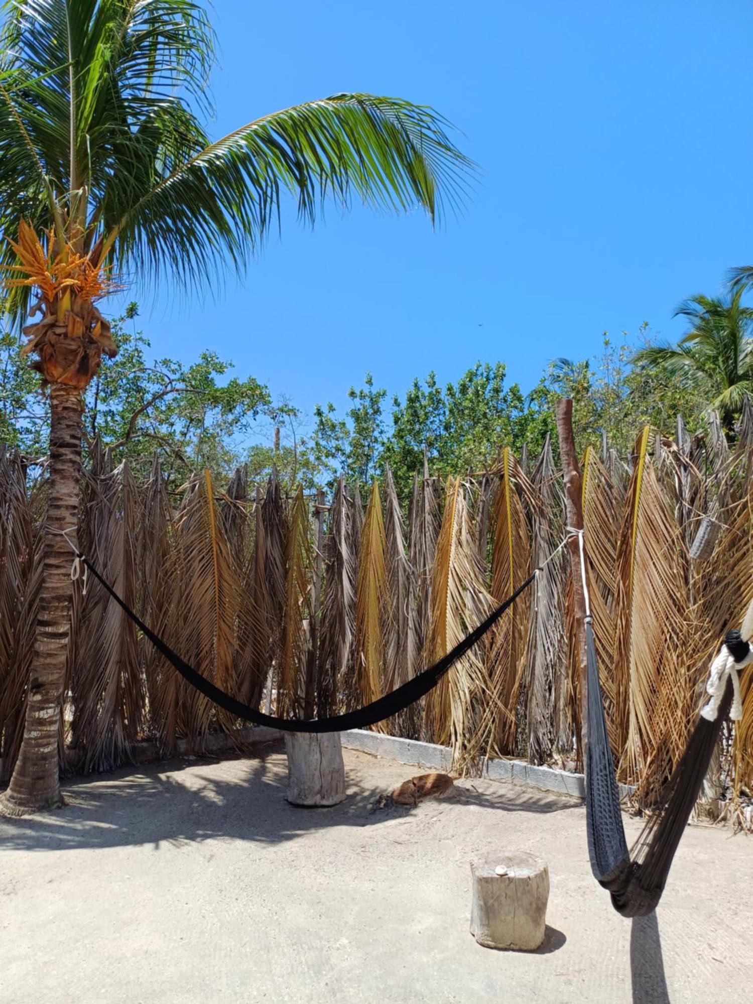 Aparthotel Casa Sofia Holbox Exteriér fotografie